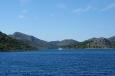 DSC00217