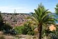 DSC01405