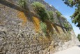 DSC01413