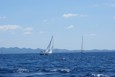 DSC01794