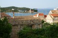 DSC01937