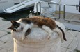 DSC02030