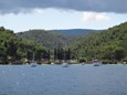 DSC02581